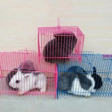 늘푸른메추리알