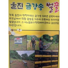 울진숙소 TOP01