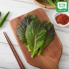 [자연맛남] 유기농 적겨자 1kg, 1개