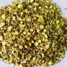 황금속썩은풀100