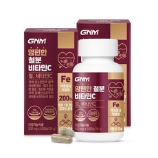 [1박스당 2개월분] GNM 맘편한 비헴철 임산부 철분 비타민C / 철분제 수유부, 120캡슐, 500mg