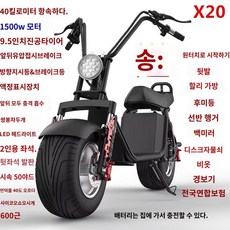 이륜 전동 스쿠터 마실용 여행 배달용 광폭 미니, A.X2040km