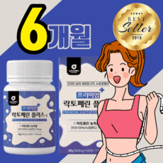 세리번나이트골드