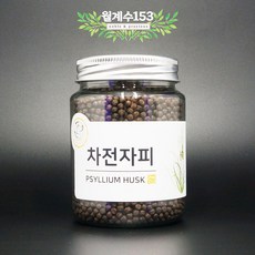 차전자피500g