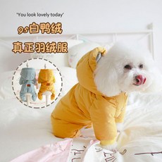 강아지우주선우비
