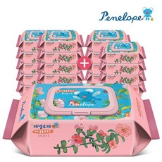 페넬로페물티슈20팩