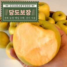 오라밀 꿀 당도 시나노골드 황금 사과 산지직송, 1박스, 5kg