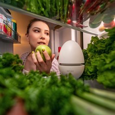 냉장고냄새오토라