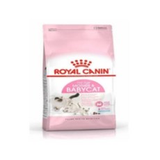 로얄캐닌 마더 앤 베이비 캣 건식사료, 기본, 10kg, 4개