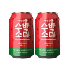 수박소다 탄산음료 350ml 24개, 강남