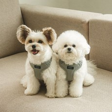 프로젝트21