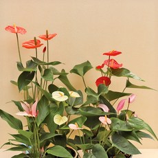 ef0819ad8a0e3f789b1c0fbe159ed21ebf3b17c7bb67b242f00bd3714e2a.jpg