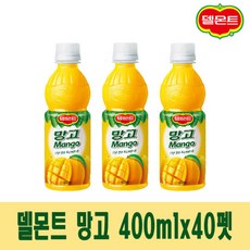 델몬트 망고 400mlx40펫 망고주스