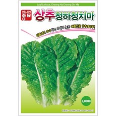 상추씨 종합세트 청상추 적상추 로메인상추 양상추 흑상추 생채포기상추 뽀글이상추