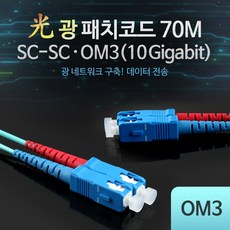 lc-lc광케이블10g70m