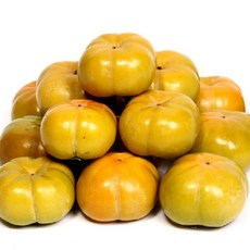 첫 수확 단감3kg(흠과/기스과)-1개, 1개, 5kg(비품/흠과)