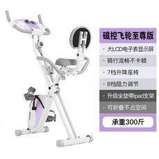 실내 재키스피닝 마그네틱 스핀 미니 바이크 홈 회전 자전거 접이식 체중 감소 이슈 사이클, B 형