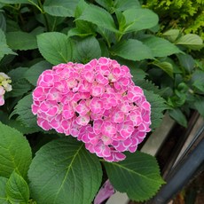 936d2cd23723bd6d87e14a920a2acbfe867a63faa522cb99e05b7822bba6.jpg