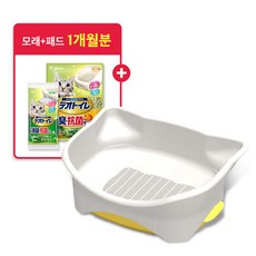 데오토일렛모래