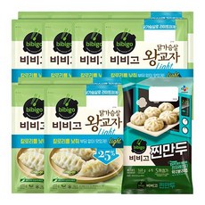 비비고라이트