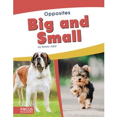Big and Small Library Binding, Focus Readers, English, 9781641853439
