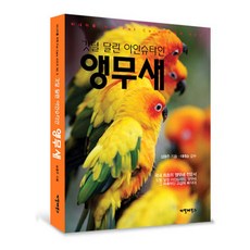깃털 달린 아인슈타인 앵무새