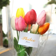 튤립사운드북가격