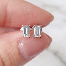 모이사나이트5부