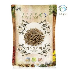 푸른들판 국내산 가시오가피 가시오갈피 나무 차 300g, 1개