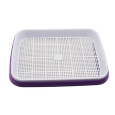 생명과학콩나물기르기