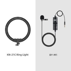 링라이트21인치