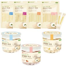 대상고양이그란데소형60