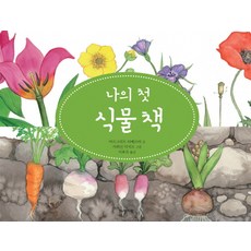 식충식물 나의 첫 식물 책 다산기획 다산지식그림책 시리즈