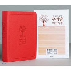큰글로읽는우리말비전성경두란노