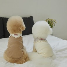 떼아몽