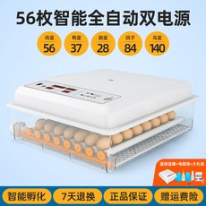 계란 부화기 조류 달걀 달걀인큐베이터 단일전동 8롤러 닭걀 36란 단일 배터리 220V