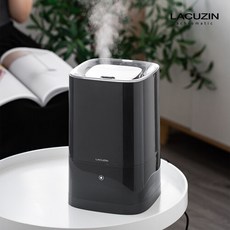 라쿠진가습기