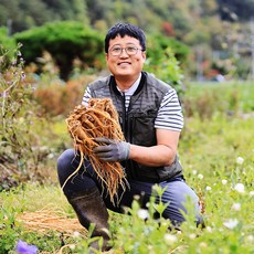 정과용도라지