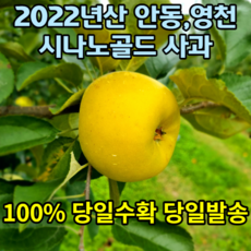시나노스위트