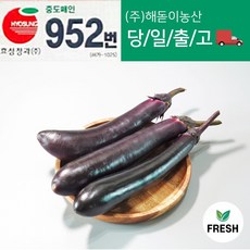 해돋이농산 국내산 가지 못난이가 2kg 5kg 10kg