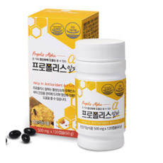 사임당 프로폴리스 알파 500mlx120캡슐60g, 500mg x 120캡슐 (60g), 120정