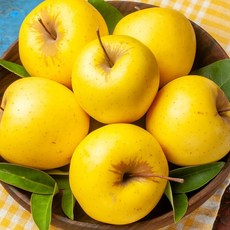 햇 시나노 골드 사과 10kg 내외 30~49과, 1개
