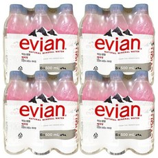 에비앙 천연광천수 500ml x 24 팩 코스트코 정품 캔 대용량 대량 명절 선물
