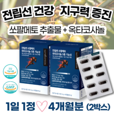 gmp기술인
