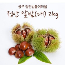 cpv-q0906ka필터