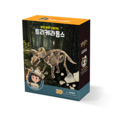 공룡화석키트