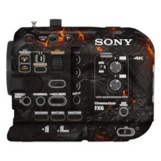 fx6스킨