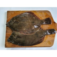 국내산 인천 급냉 풀도다리 1kg 봄 도다리, 1개