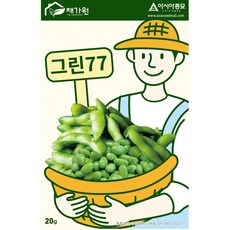 아시아종묘 콩종자씨앗 풋콩 그린77(20g) 에다마메 지두, 1개