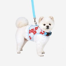 헨로포우젠틀하네스